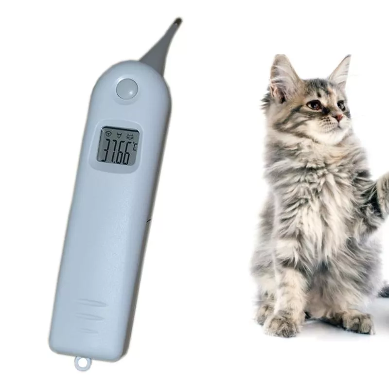 Velký elektronický veterinární teploměr s rychlým měřením TopTechnology