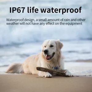 G12 IP67 Vodotěsný GPS Tracker pro psy TopTechnology G12 IP67 Vodotěsný GPS Tracker pro psy TopTechnology