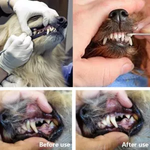 Nástroj na čištění psího chrupu - Dog Decalcification Tip Scraper TopTechnology Nástroj na čištění psího chrupu - Dog Decalcification Tip Scraper TopTechnology