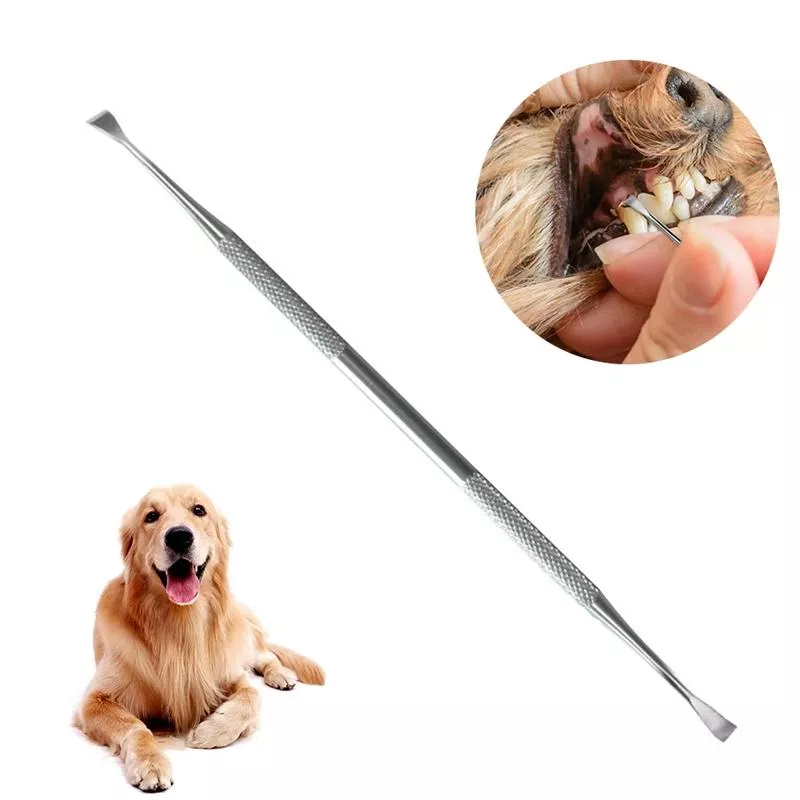 Nástroj na čištění psího chrupu - Dog Decalcification Tip Scraper TopTechnology