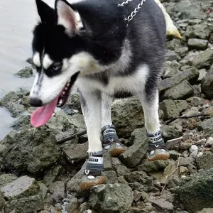 HCPET Boty pro psy - 4 kusy, prodyšné, šedé, velikost No.2 (4.5 cm) TopTechnology HCPET Boty pro psy - 4 kusy, prodyšné, šedé, velikost No.2 (4.5 cm) TopTechnology