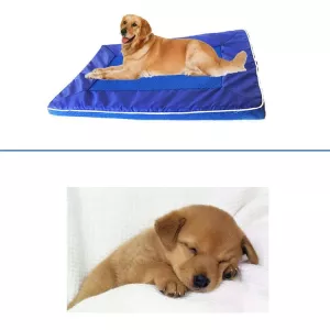 Letní podložka pro psy, chladící matrace, odnímatelný polštářek, vel. S, 28*44*4cm TopTechnology Letní podložka pro psy, chladící matrace, odnímatelný polštářek, vel. S, 28*44*4cm TopTechnology