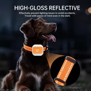 GPS/WIFI Sledovací Obojek pro Domácí Mazlíčky s SOS Výstrahou (Oranžový) TopTechnology GPS/WIFI Sledovací Obojek pro Domácí Mazlíčky s SOS Výstrahou (Oranžový) TopTechnology