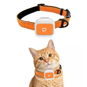 GPS/WIFI Sledovací Obojek pro Domácí Mazlíčky s SOS Výstrahou (Oranžový) TopTechnology GPS/WIFI Sledovací Obojek pro Domácí Mazlíčky s SOS Výstrahou (Oranžový) TopTechnology