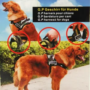 Měkké silné hrudní popruhy pro psy, vodítko velikosti M (50-65cm)(Černé) TopTechnology
