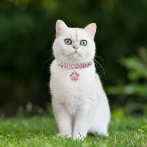 Pet Obojek Diamond Elastický Klenot pro Kočky a Psy, Velikost: S (Modro-Bílý) TopTechnology