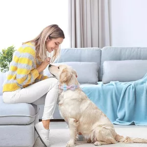 Obojek pro domácí mazlíčky s odnímatelnou mašlí v růžově zlaté, velikost M 2.0x33-50cm (Růžová dívka) TopTechnology
