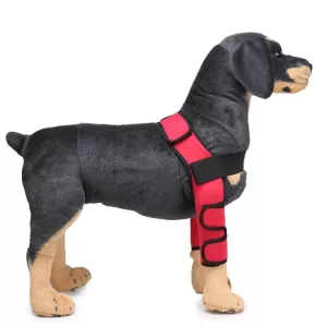 Ochranný kryt na nohu pro psy - chirurgický, velikost L (Classic Model - Červený) TopTechnology
