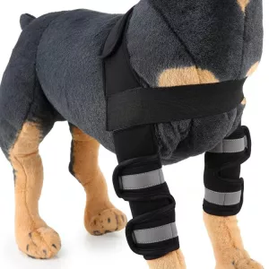 Ochranný obal na nohu pro psy a kočky – Velikost M (černý, Anti-glory model) TopTechnology