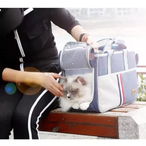 DODOPET Outdoor Přenosná Taška pro Kočky a Psy, Velikost: 43 x 19 x 26 cm (Šedá) TopTechnology DODOPET Outdoor Přenosná Taška pro Kočky a Psy, Velikost: 43 x 19 x 26 cm (Šedá) TopTechnology