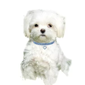 Pet Supplies elastické obojky pro kočky a psy - velikost M (růžová) TopTechnology Pet Supplies elastické obojky pro kočky a psy - velikost M (růžová) TopTechnology