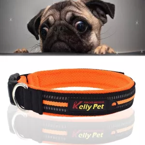 Reflexní polyesterový obojek pro psy - L, 2.5*47*54cm (oranžový) TopTechnology