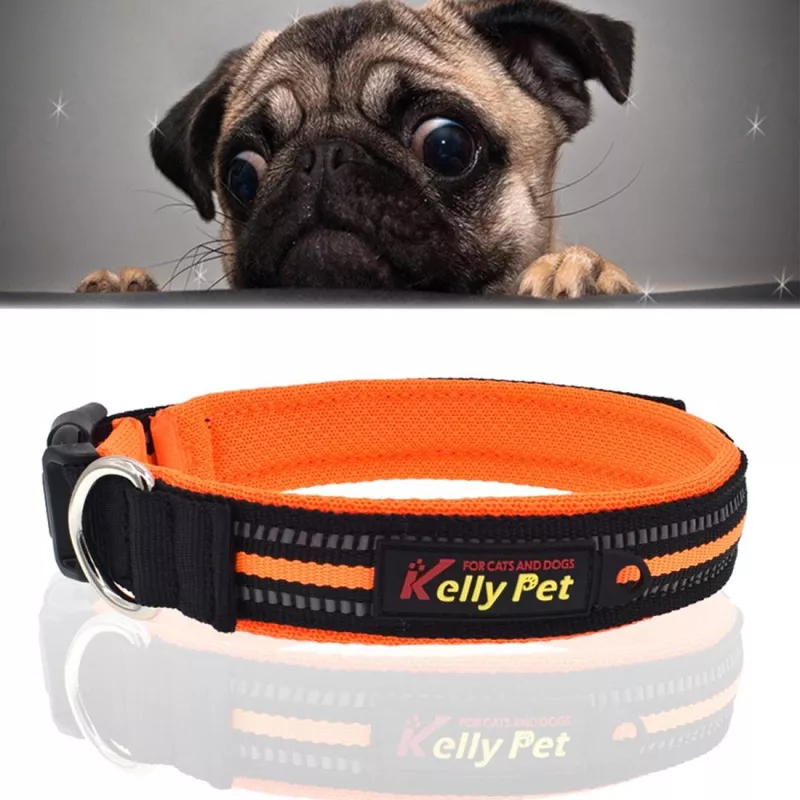 Reflexní polyesterový obojek pro psy - L, 2.5*47*54cm (oranžový) TopTechnology