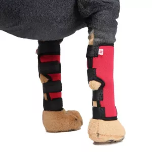 Ochranné podložky na kolena pro psy - Velikost M (HJ02 Classic Red) TopTechnology