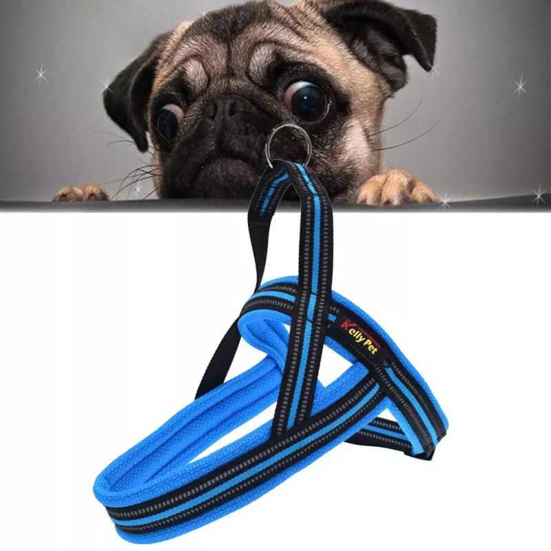 Reflexní hrudní postroj pro psy A7, vel. L (modrý) TopTechnology