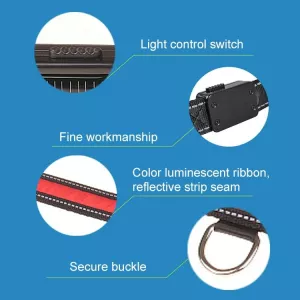 Solární LED obojek pro psy střední a velké velikosti, L, 50-60cm (žlutý) TopTechnology