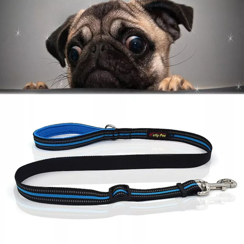 Vodítko pro psy z nylonu s nočním reflexním a prodyšným designem - velikost S (modré) TopTechnology