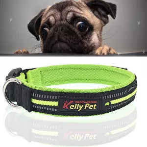 Reflexní obojek pro psy ze polyesteru, velikost S, 2.0*35*40cm (zelený) TopTechnology Reflexní obojek pro psy ze polyesteru, velikost S, 2.0*35*40cm (zelený) TopTechnology