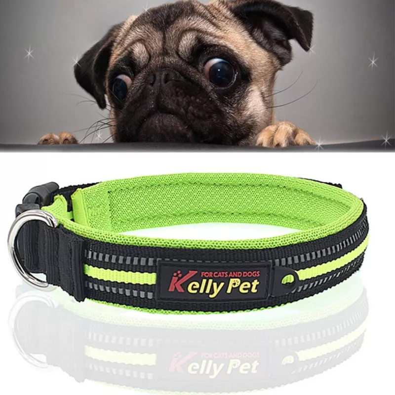 Reflexní obojek pro psy ze polyesteru, velikost S, 2.0*35*40cm (zelený) TopTechnology