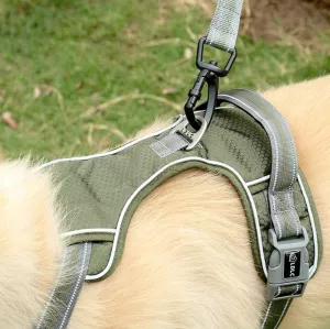 Reflexní elastické vodítko pro psy - zelené TopTechnology