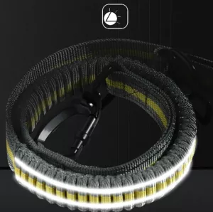 Reflexní elastické vodítko pro psy - zelené TopTechnology