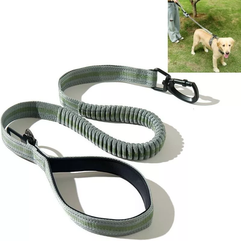 Reflexní elastické vodítko pro psy - zelené TopTechnology