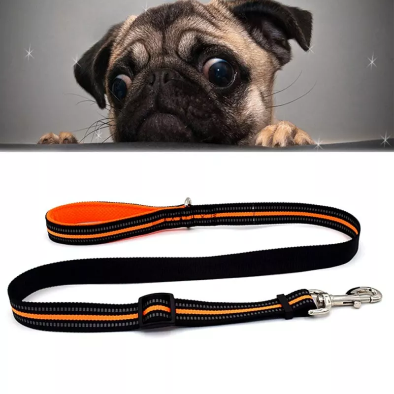 Reflexní nylonové vodítko pro psy, velikost S, nastavitelné 100-140cm (oranžové) TopTechnology