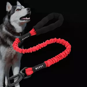 HCPET Vodítko pro psy - Elastické výbušně odolné, 120 cm, Černé TopTechnology HCPET Vodítko pro psy - Elastické výbušně odolné, 120 cm, Černé TopTechnology
