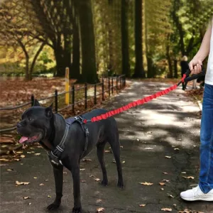 HCPET Vodítko pro psy - Elastické výbušně odolné, 120 cm, Černé TopTechnology HCPET Vodítko pro psy - Elastické výbušně odolné, 120 cm, Černé TopTechnology