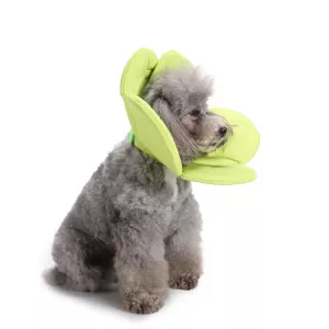 Obojek pro psa s květinovým vzorem - chranný obojek pro domácí mazlíčky, velikost S (zelený) TopTechnology