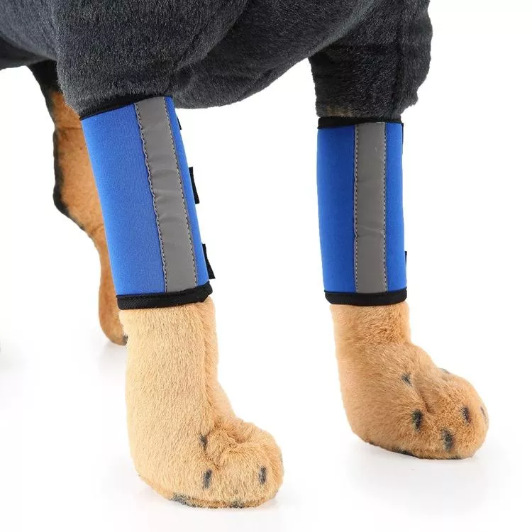 Ochranný obal na koleno pro psy postoperativní péče, velikost M (modré odražení) TopTechnology