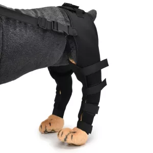 Ochranný kryt na koleno pro psy - XS (černý) | Pooperační ortéza TopTechnology Ochranný kryt na koleno pro psy - XS (černý) | Pooperační ortéza TopTechnology