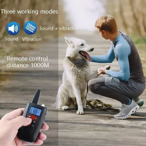 Elektронický výcvikový obojek PaiPaitek PD526V-2 TopTechnology