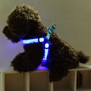 Dvojitý LED světelný postroj pro domácí mazlíčky, nylonový popruh pro kočky a psy, velikost: M (modrý) TopTechnology