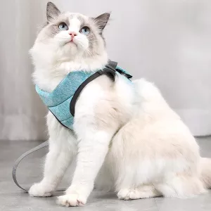 Hrudní popruh a vodítko pro kočky, velikost M (zelený) TopTechnology