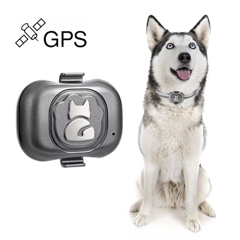 G16 GPS Tracker pro domácí mazlíčky - Voděodolný inteligentní obojek pro psy a kočky TopTechnology