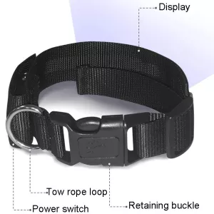 LED Pet Obojek s LED Displejem, Dobíjecí, Vysoká Viditelnost, Modrý TopTechnology