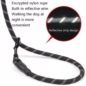 Reflexní vodítko pro psy, délka: 200 cm, šířka: 1,2 cm (Nebeská modrá) TopTechnology