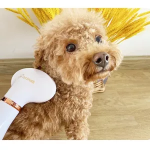 Elektrický hřeben a fén pro kočky a psy - UK Plug (Zelený) TopTechnology Elektrický hřeben a fén pro kočky a psy - UK Plug (Zelený) TopTechnology