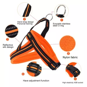 Reflexní hrudní popruh pro psy A7 - S, 2.0*50*62cm (Oranžový) TopTechnology