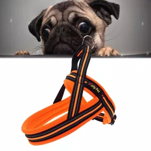 Reflexní hrudní popruh pro psy A7 - S, 2.0*50*62cm (Oranžový) TopTechnology
