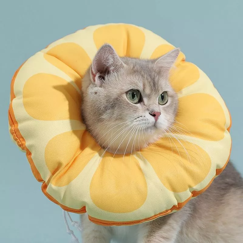 Protikus Cat Elizabeth Obojek pro Koťata - Antilizační L (Oranžový) TopTechnology