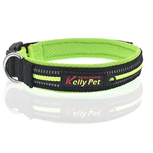 Obojek pro psy s polyesteru - reflexní, prodyšný, velikost L (zelený) TopTechnology