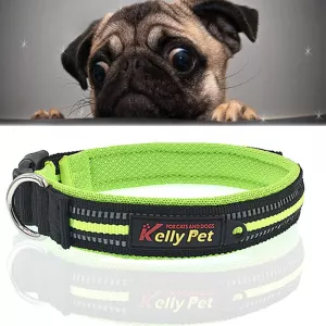 Obojek pro psy s polyesteru - reflexní, prodyšný, velikost L (zelený) TopTechnology