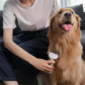Originální hřeben na odstranění chlupů pro domácí mazlíčky Xiaomi Youpin TopTechnology Originální hřeben na odstranění chlupů pro domácí mazlíčky Xiaomi Youpin TopTechnology