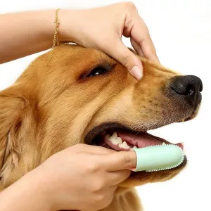 Zubní kartáček pro psy a kočky s rukojetí (Růžový) TopTechnology
