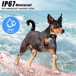 669N-1 Inteligentní trenažér pro psy s dálkovým ovládáním a vodotěsným vibracím TopTechnology 669N-1 Inteligentní trenažér pro psy s dálkovým ovládáním a vodotěsným vibracím TopTechnology