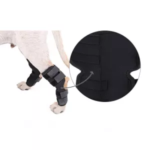 DogLemi PD60041 Stélka na nohy pro psy XL - ochrana ran a zranění TopTechnology