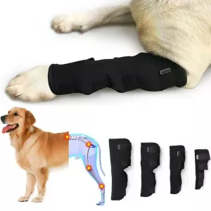 DogLemi PD60041 Stélka na nohy pro psy XL - ochrana ran a zranění TopTechnology