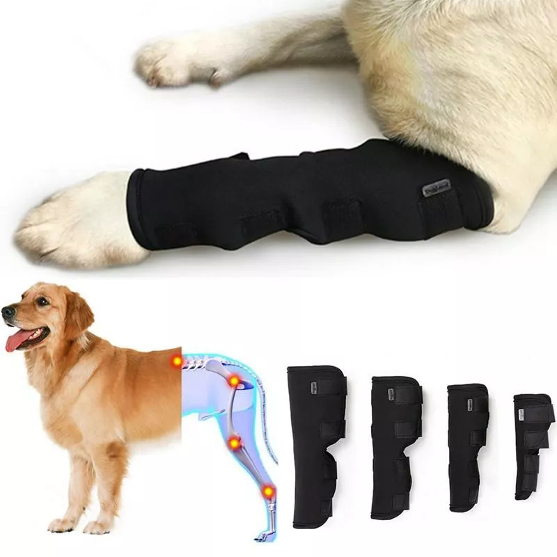 DogLemi PD60041 Stélka na nohy pro psy XL - ochrana ran a zranění TopTechnology